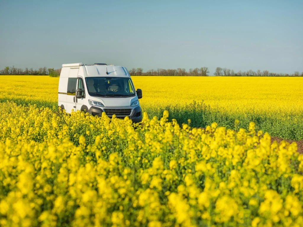 White delivery van beside bright yellow field, eco-friendly touchpoint in the brand delivery journey