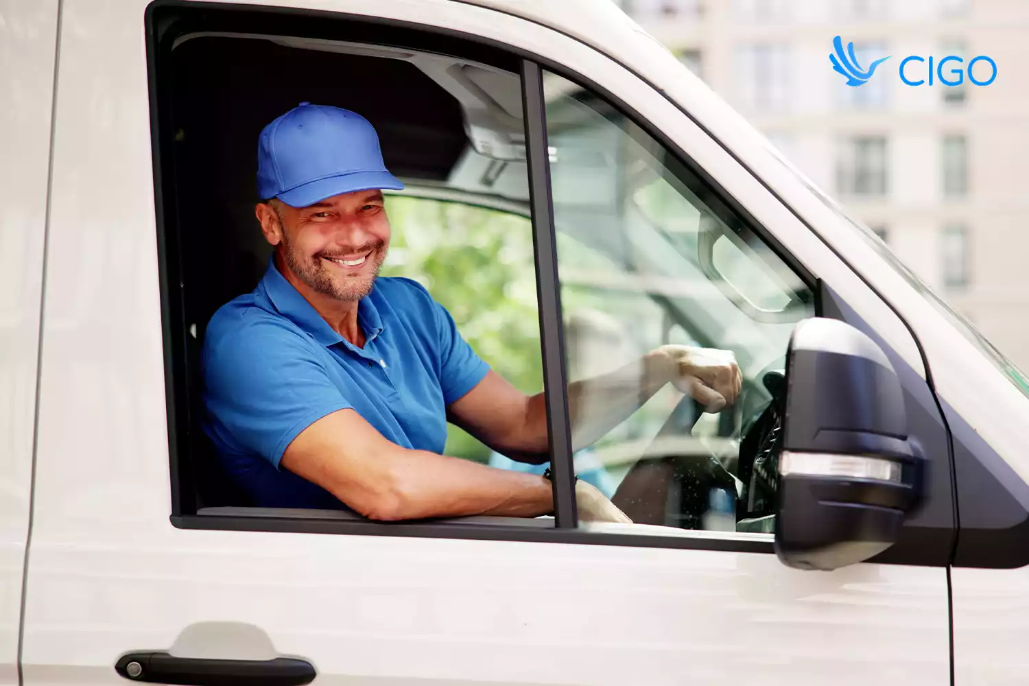 APIs vs Native Integrations: Choosing the Right Path for Delivery Data