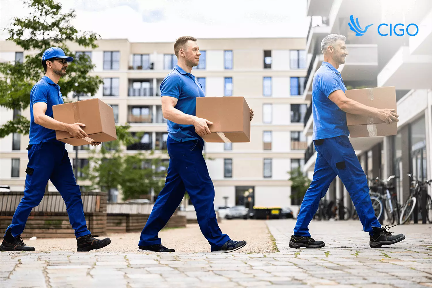 CIGO delivery team carrying parcels on optimized last-mile route