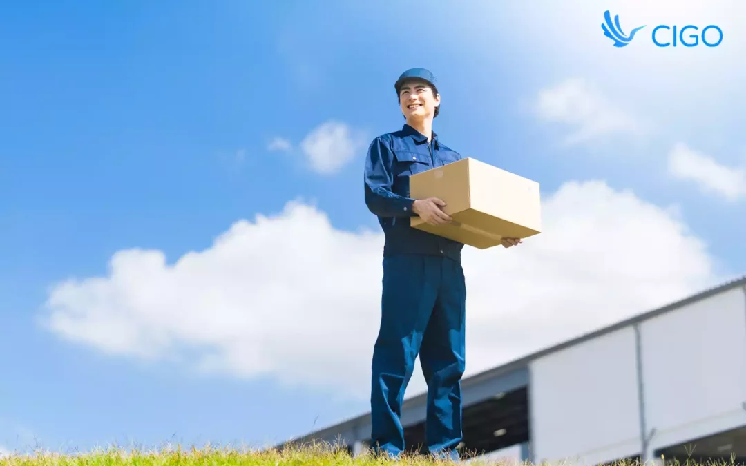 White-Label Delivery Tracking Solutions: Building Brand Trust