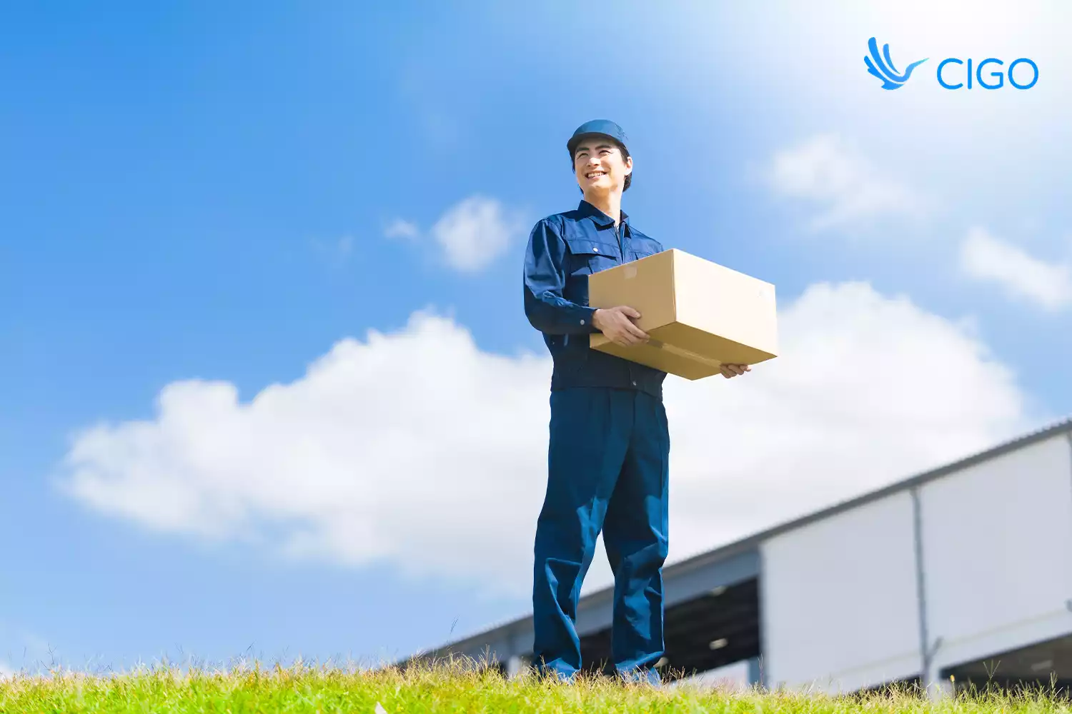 White-Label Delivery Tracking Solutions: Building Brand Trust