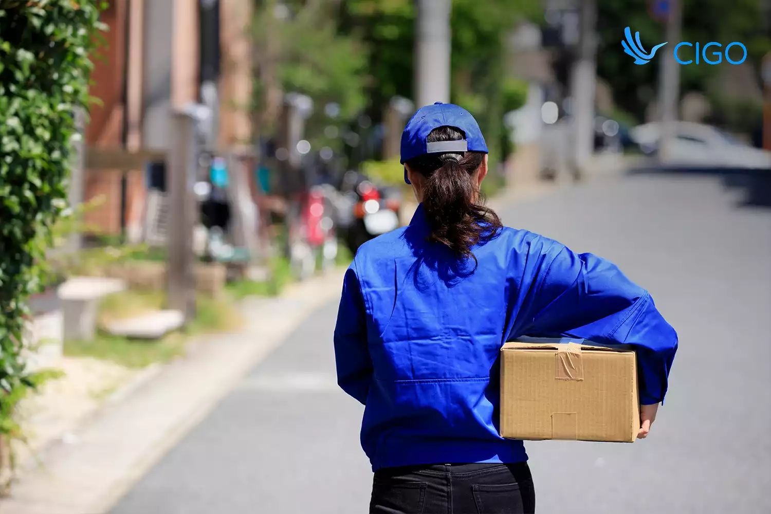 Multi-Carrier Delivery Tracking: Unifying Your Customer Experience