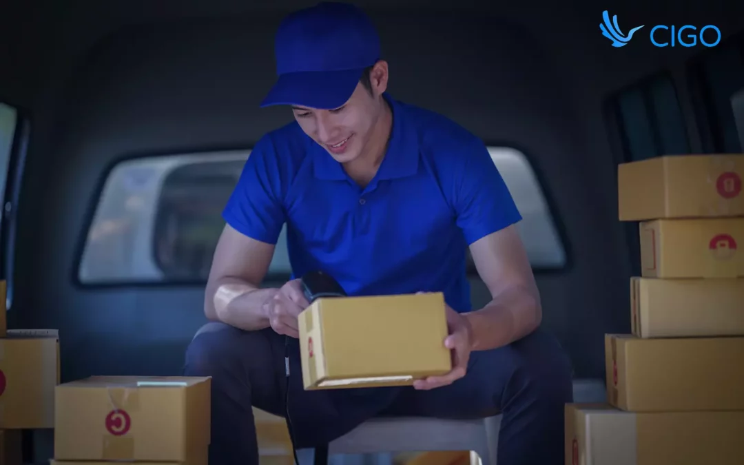 What Is Capacity Management Software and How It Prevents Overbooked Trucks