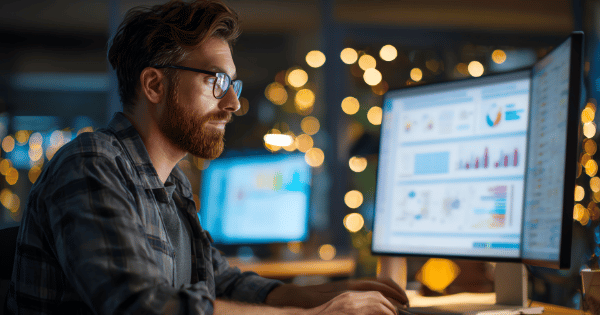 ERP and WMS Integrators